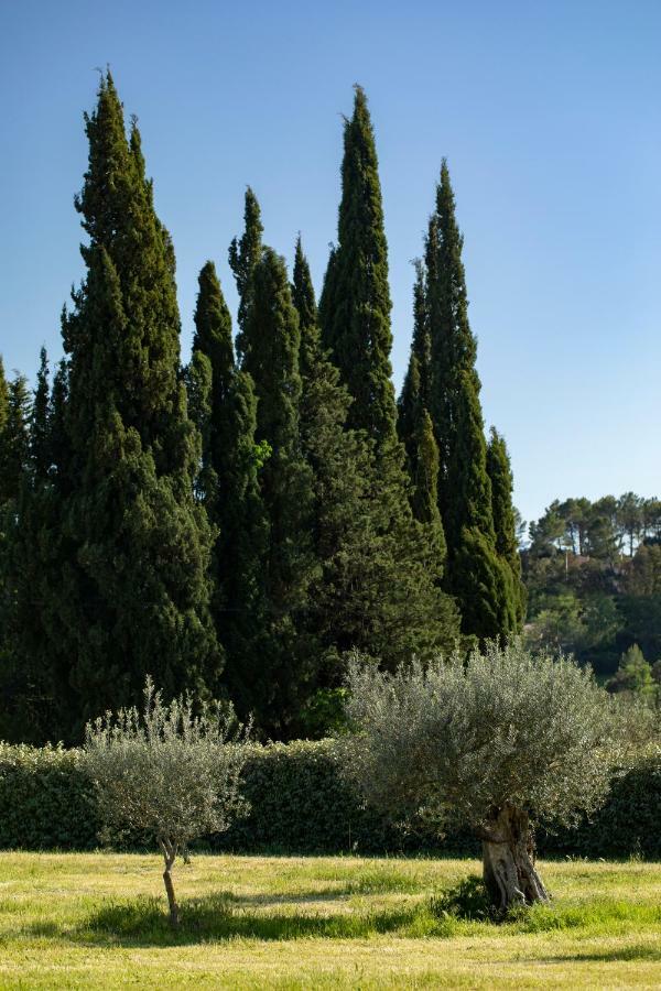 Domaine De La Chapelle Bed & Breakfast Lorgues Exterior photo